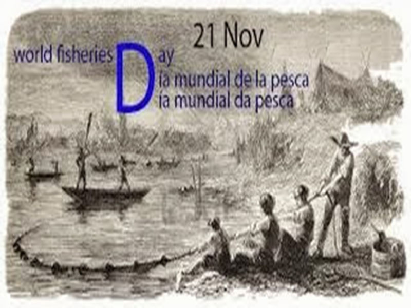 Dia Mundial da Pesca
